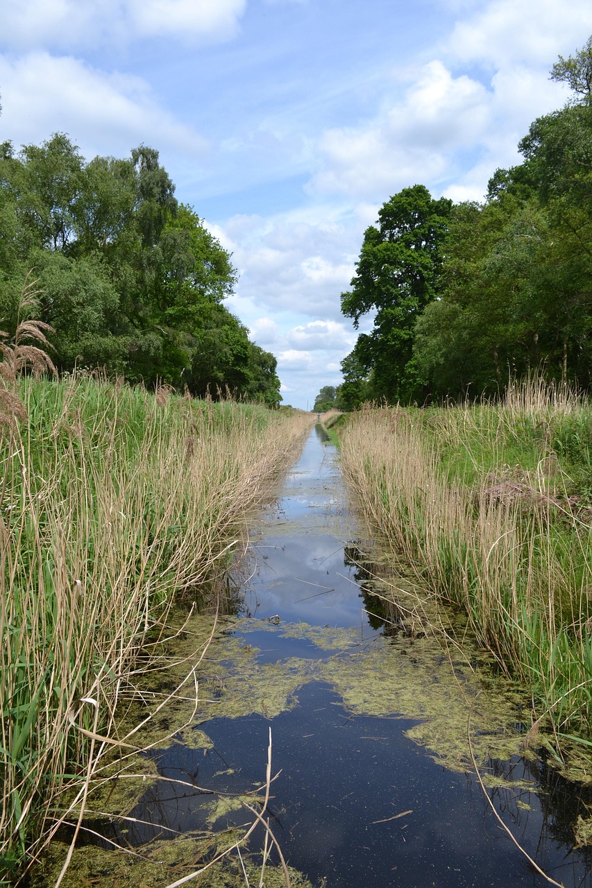 installation de drain français pour une gestion efficace des eaux souterraines et la protection de votre maison contre l'humidité.