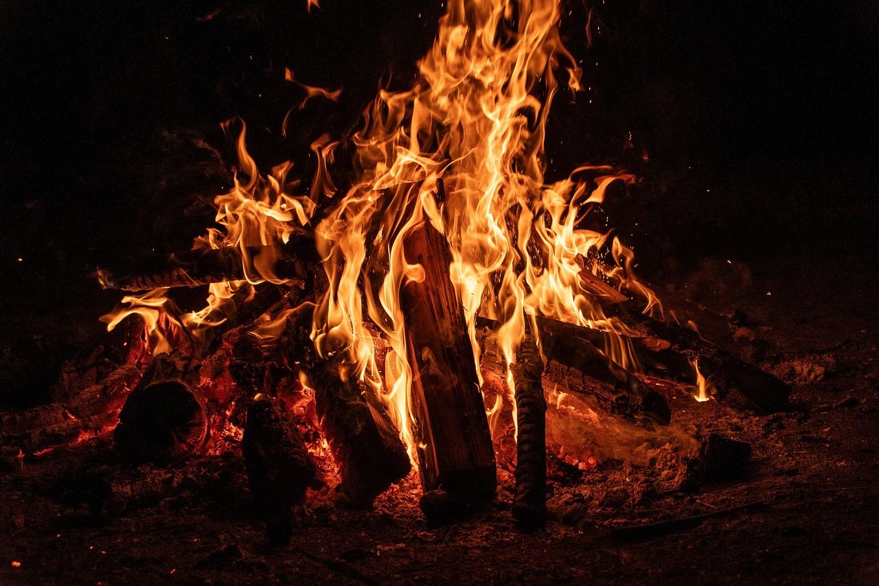 découvrez notre broyeur de branches performant, idéal pour transformer vos déchets verts en paillis ou compost rapidement et efficacement.
