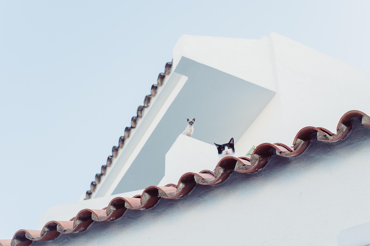 installation de toiture végétalisée : apportez une touche écologique et esthétique à votre bâtiment avec nos solutions professionnelles de toits verts.