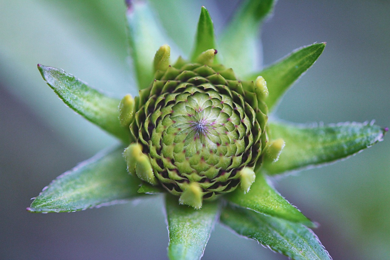 aménagement petit jardin : astuces et idées pour optimiser votre espace découvrez des idées créatives et pratiques pour aménager un petit jardin, optimiser l'espace et créer un coin de verdure charmant et accueillant.